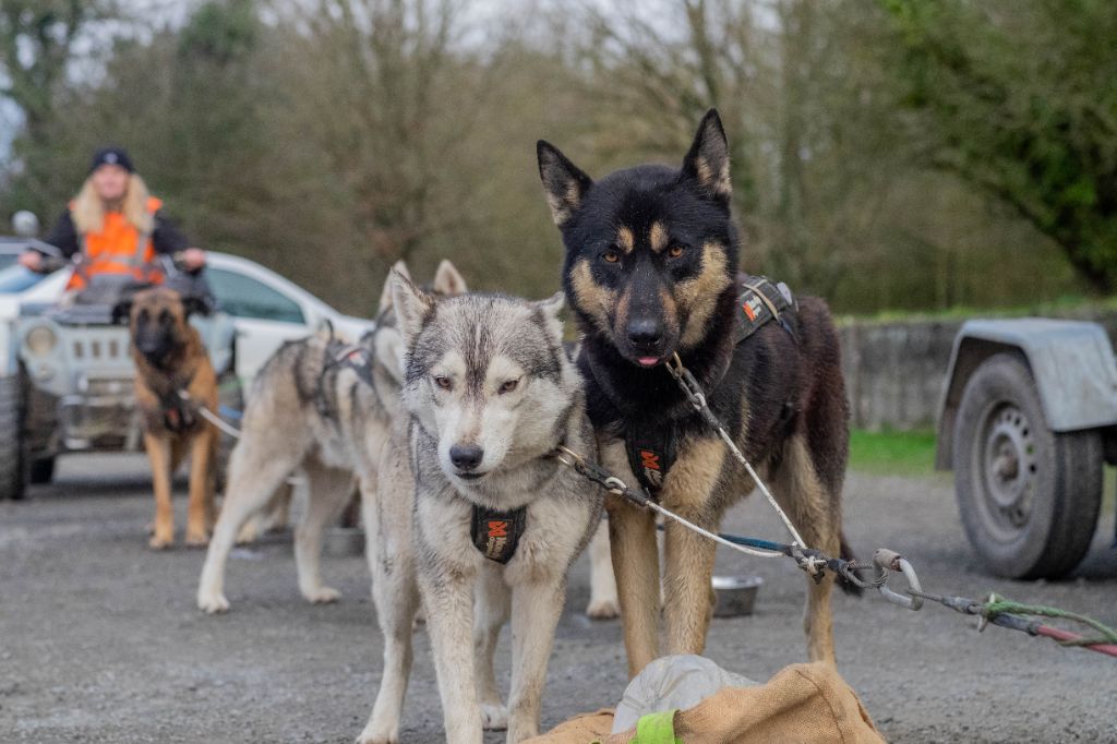 P'kuruk des Loups de L'Etang de Jade